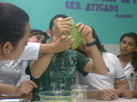 Laboratório Educacional de Ciências - EEEP Luiz Gonzaga Fonseca Mota ... 